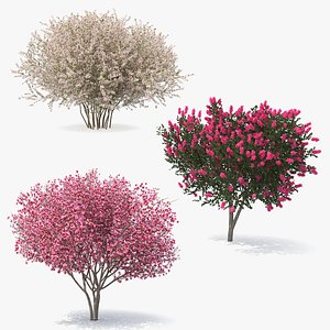 Flowering Bushes and Trees 3D Models Collection