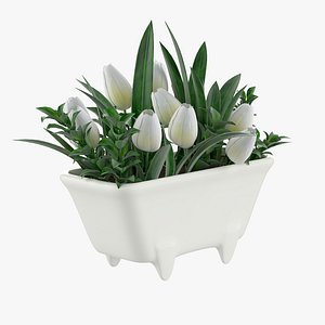 tulip bath mini model