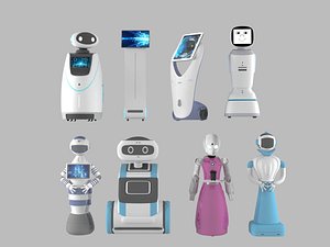 3D model Guided Intelligent Robot