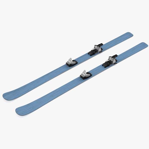 3D Snow Skis 1 model