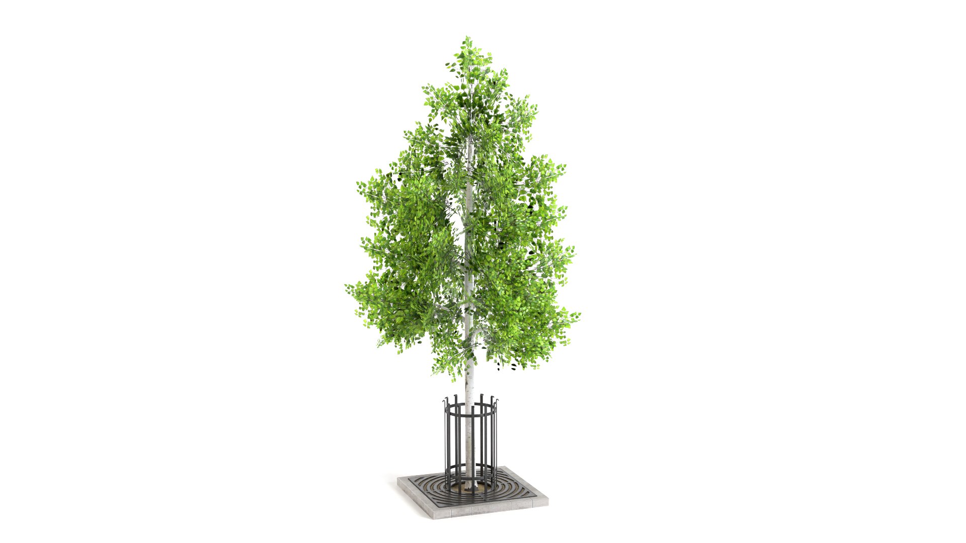 3D street tree planter model https://p.turbosquid.com/ts-thumb/a3/OdDTpk/3T/stp1_2/jpg/1722836625/1920x1080/fit_q87/479f26ac577ed879981e463ad8cd3362bfd219b4/stp1_2.jpg