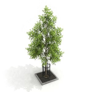 3D street tree planter model