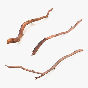 Dry Branches Collection