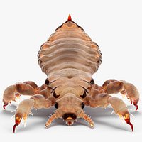 Phthiraptera White Rigged for Cinema 4D