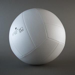 Volleyball
