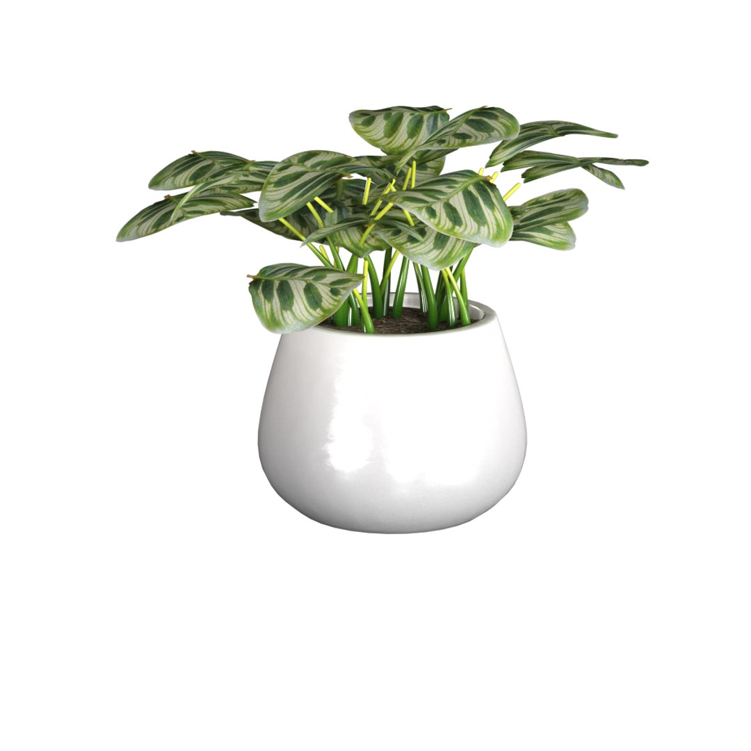 3D model 150 MODELS Office SUPPLIES MEGAPACK https://p.turbosquid.com/ts-thumb/a3/tjCOis/Gg/3/png/1666779326/1920x1080/fit_q87/60065f1e2c5d1ba9ab36fddc936f0e7aea927b73/3.jpg