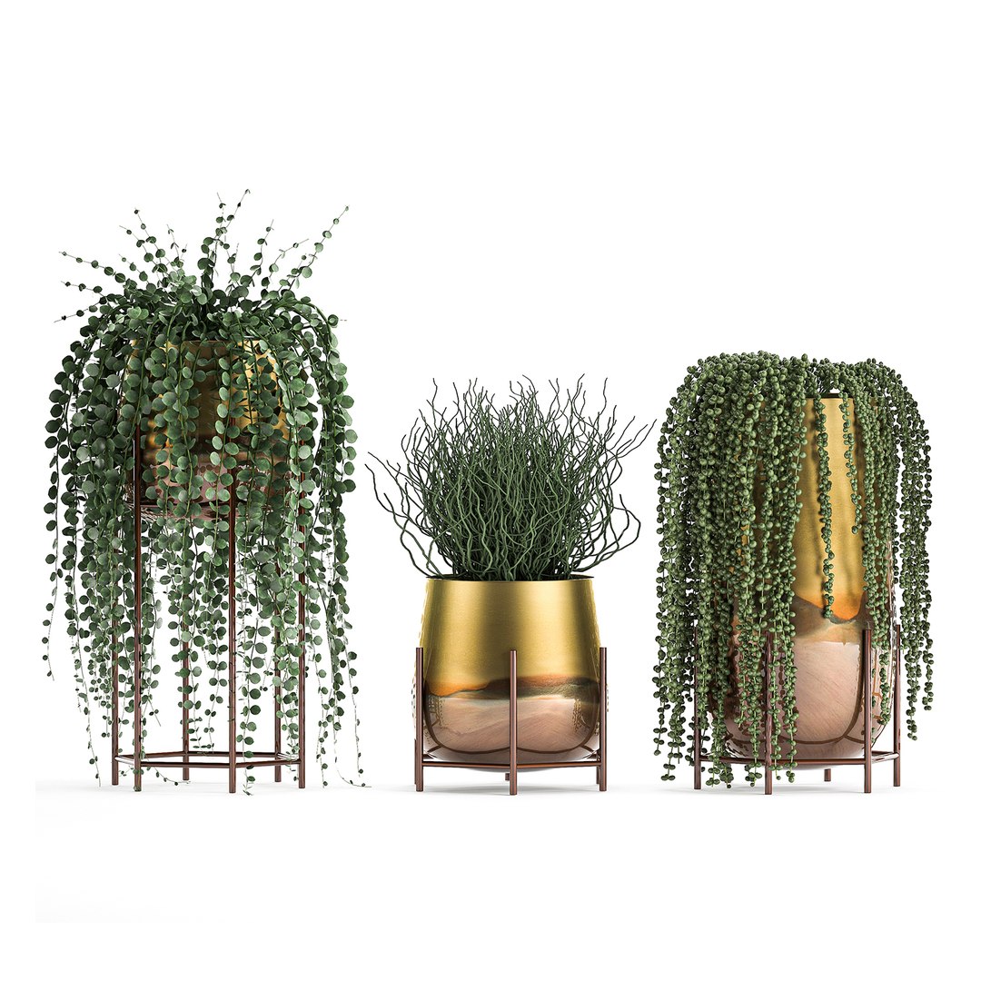 plants pots interior succulent 3D model https://p.turbosquid.com/ts-thumb/a4/1QaWVx/PnZHaR9P/plant1105202006/jpg/1589293239/1920x1080/fit_q87/bd0ccea77e12da90c5518b38af60fea0ab9d9161/plant1105202006.jpg