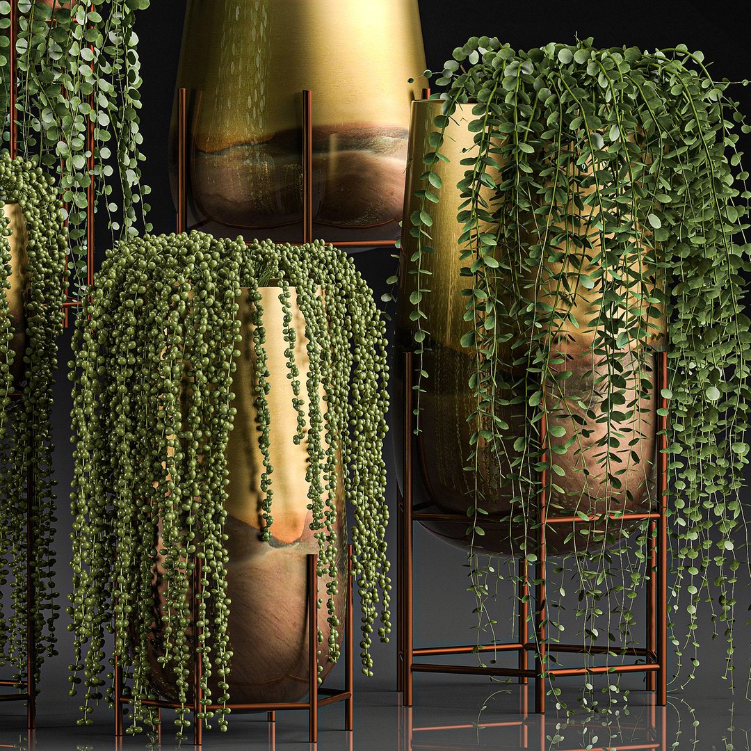 plants pots interior succulent 3D model https://p.turbosquid.com/ts-thumb/a4/1QaWVx/eNhhezLL/plant1105202002/jpg/1589293238/1920x1080/fit_q87/4ec80473a78d6106bb9e015ff4b200643c3315f9/plant1105202002.jpg