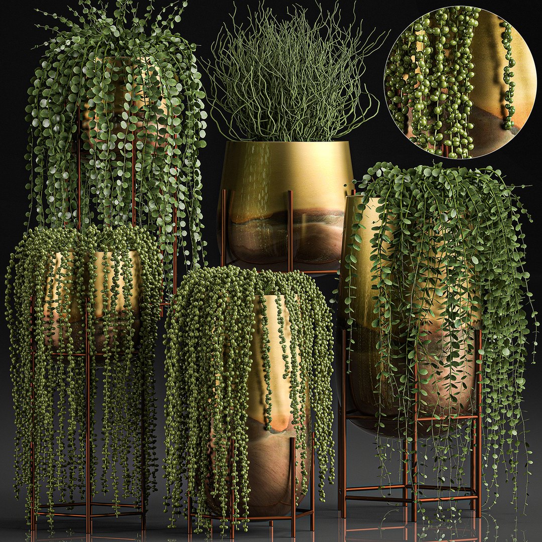 plants pots interior succulent 3D model https://p.turbosquid.com/ts-thumb/a4/1QaWVx/jRRFO0iv/plant1105202000/jpg/1589293238/1920x1080/fit_q87/6f6b7dd7cc2f4f678733a9a1f5092b0e1b975dc4/plant1105202000.jpg