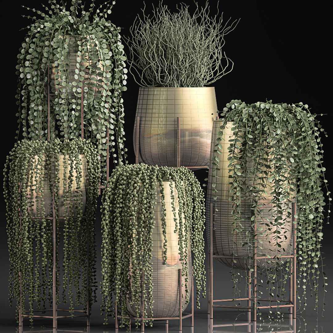plants pots interior succulent 3D model https://p.turbosquid.com/ts-thumb/a4/1QaWVx/lUvYolm2/plant1105202008/jpg/1589293239/1920x1080/fit_q87/e203e1d995b114bb7f01fdb16c9d00ddfb388868/plant1105202008.jpg
