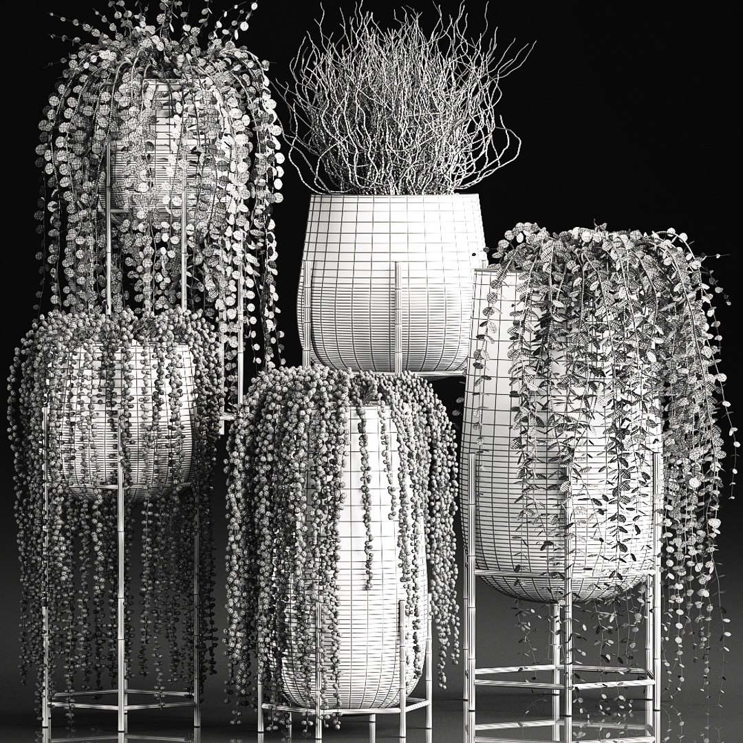 plants pots interior succulent 3D model https://p.turbosquid.com/ts-thumb/a4/1QaWVx/laI4O0qh/plant1105202009/jpg/1589293239/1920x1080/fit_q87/2fd3e2564be052f7a04a97f232e9c0de8d9781ce/plant1105202009.jpg