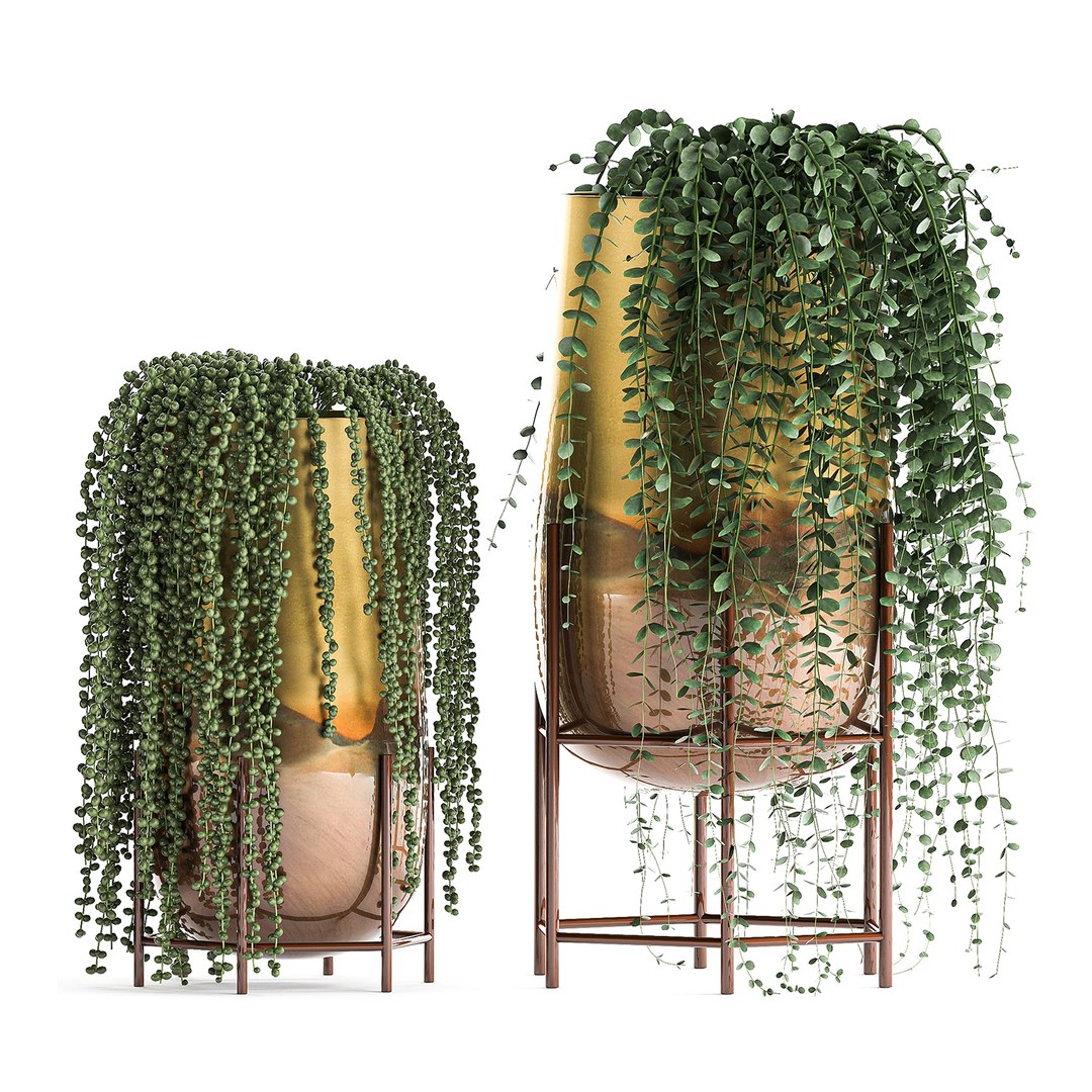plants pots interior succulent 3D model https://p.turbosquid.com/ts-thumb/a4/1QaWVx/nCOAwVAh/plant1105202005/jpg/1589293239/1920x1080/fit_q87/22da08e4d9cd46cc8f32f76acaf870d37130c596/plant1105202005.jpg