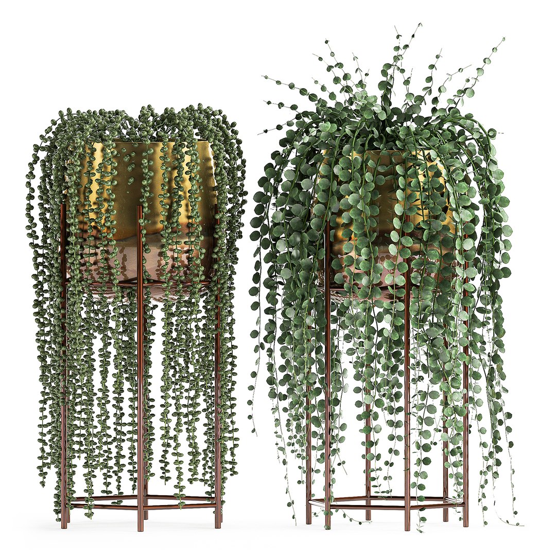 plants pots interior succulent 3D model https://p.turbosquid.com/ts-thumb/a4/1QaWVx/pumnsAxD/plant1105202004/jpg/1589293239/1920x1080/fit_q87/50b30e147444d5523ef887b855b9d547b9e0512f/plant1105202004.jpg