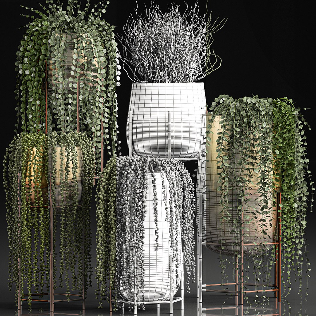 plants pots interior succulent 3D model https://p.turbosquid.com/ts-thumb/a4/1QaWVx/zESOPJXY/plant1105202010/jpg/1589293239/1920x1080/fit_q87/3305a9f02784affb563f00acdfbecf0a39bf4866/plant1105202010.jpg