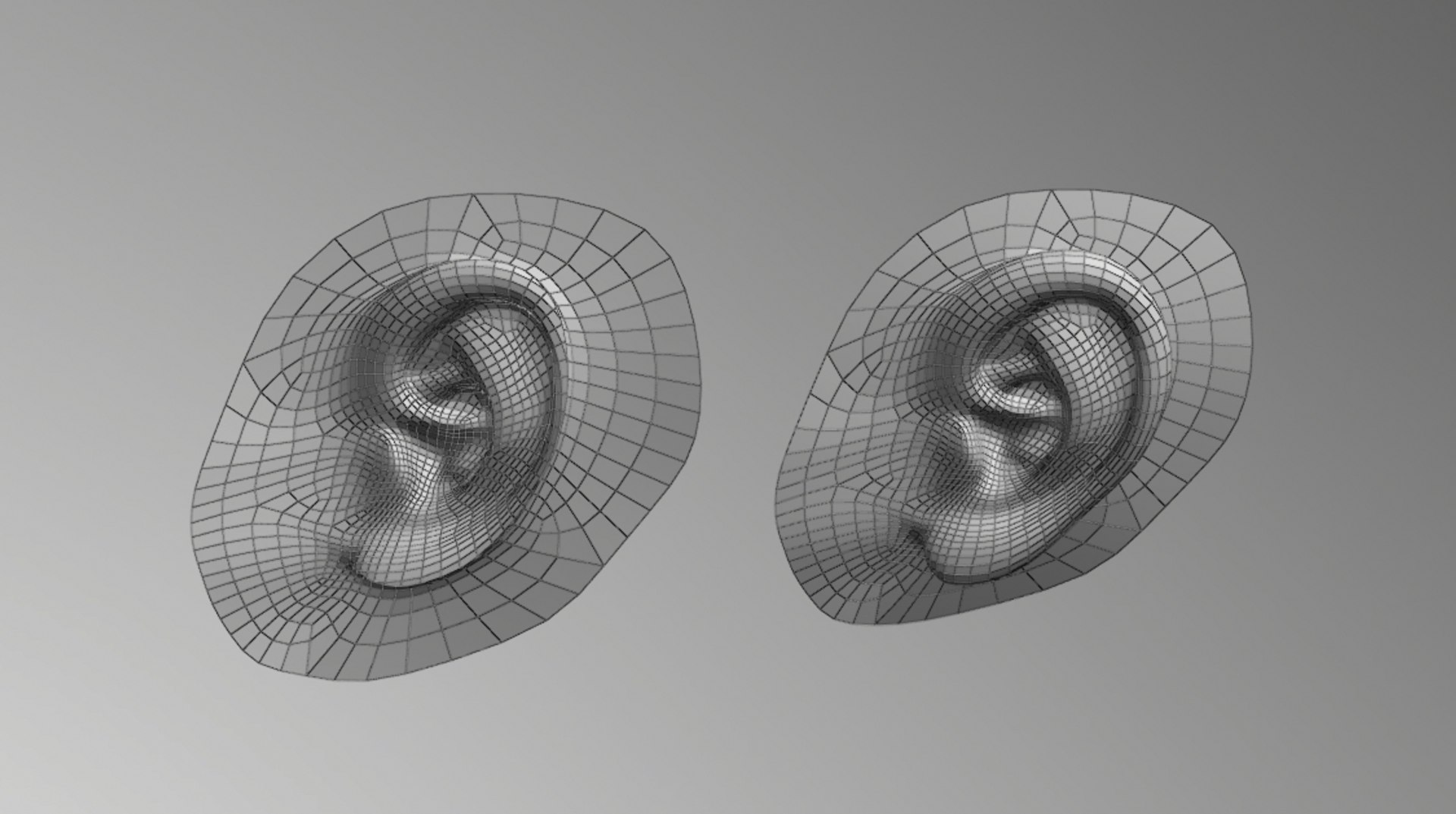 ear 3D model https://p.turbosquid.com/ts-thumb/a4/E353hl/320nvWLC/e_4/png/1591101510/1920x1080/fit_q87/002516f1d0f6e20eb90ab6cb9e5be911668af508/e_4.jpg