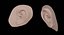 ear