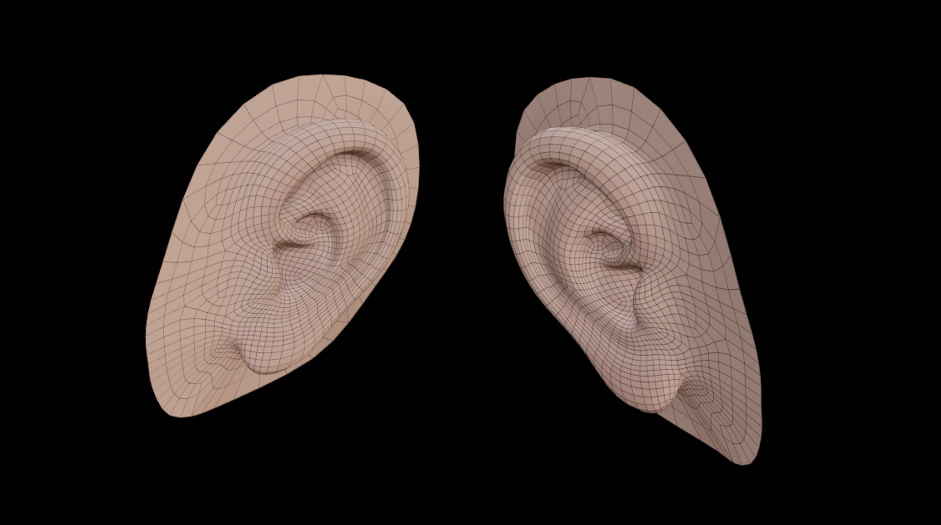 ear 3D model https://p.turbosquid.com/ts-thumb/a4/E353hl/9gSyQn4G/e_6/png/1591101510/1920x1080/fit_q87/2971785f8793a5597ee70bab6d5f87c47956bedb/e_6.jpg