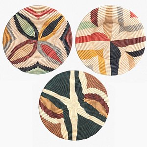 3D Woven Wall Art Plate Multicolor Collection model