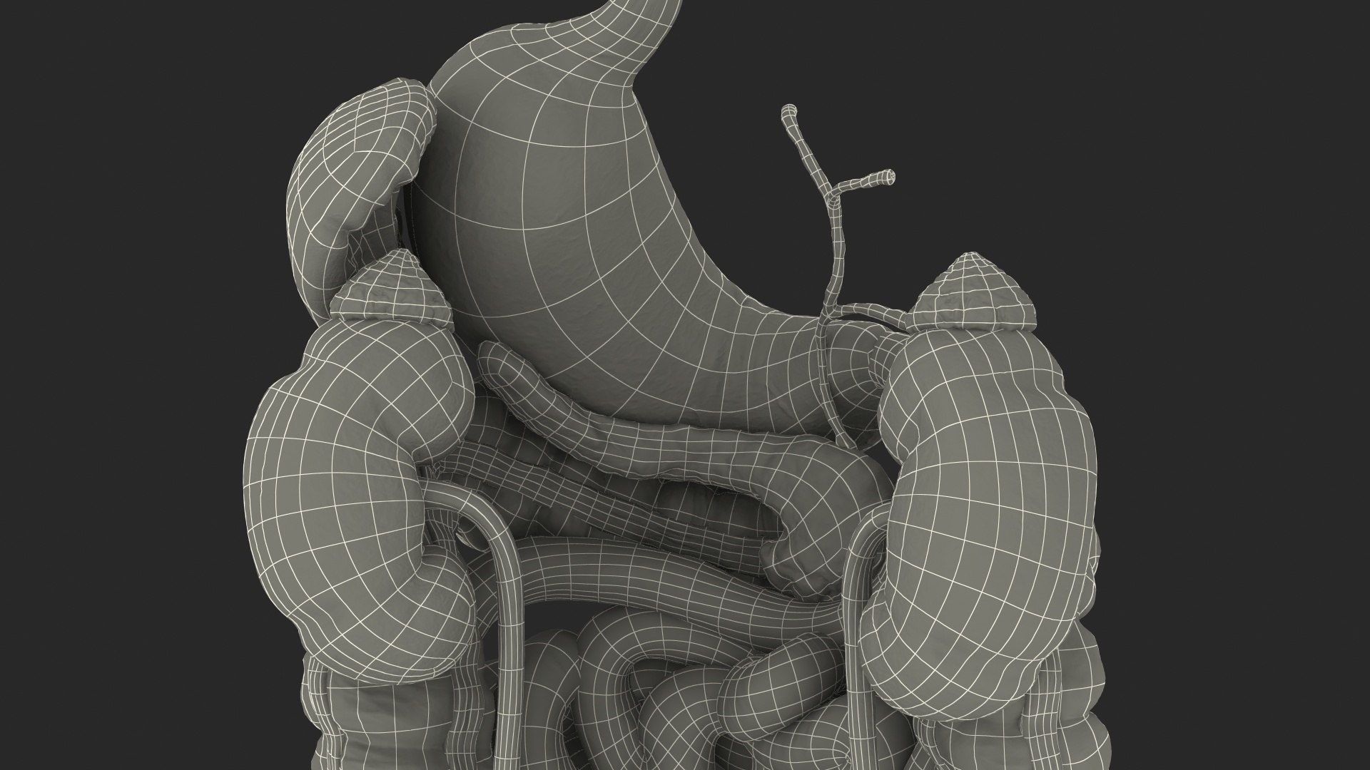 3D male internal organs https://p.turbosquid.com/ts-thumb/a4/VxRp09/AmiOiP8Z/maleinternalorgans3dsmodel048/jpg/1572256977/1920x1080/fit_q87/e36b13e902463e381eb637625c059fbd90d59cd3/maleinternalorgans3dsmodel048.jpg