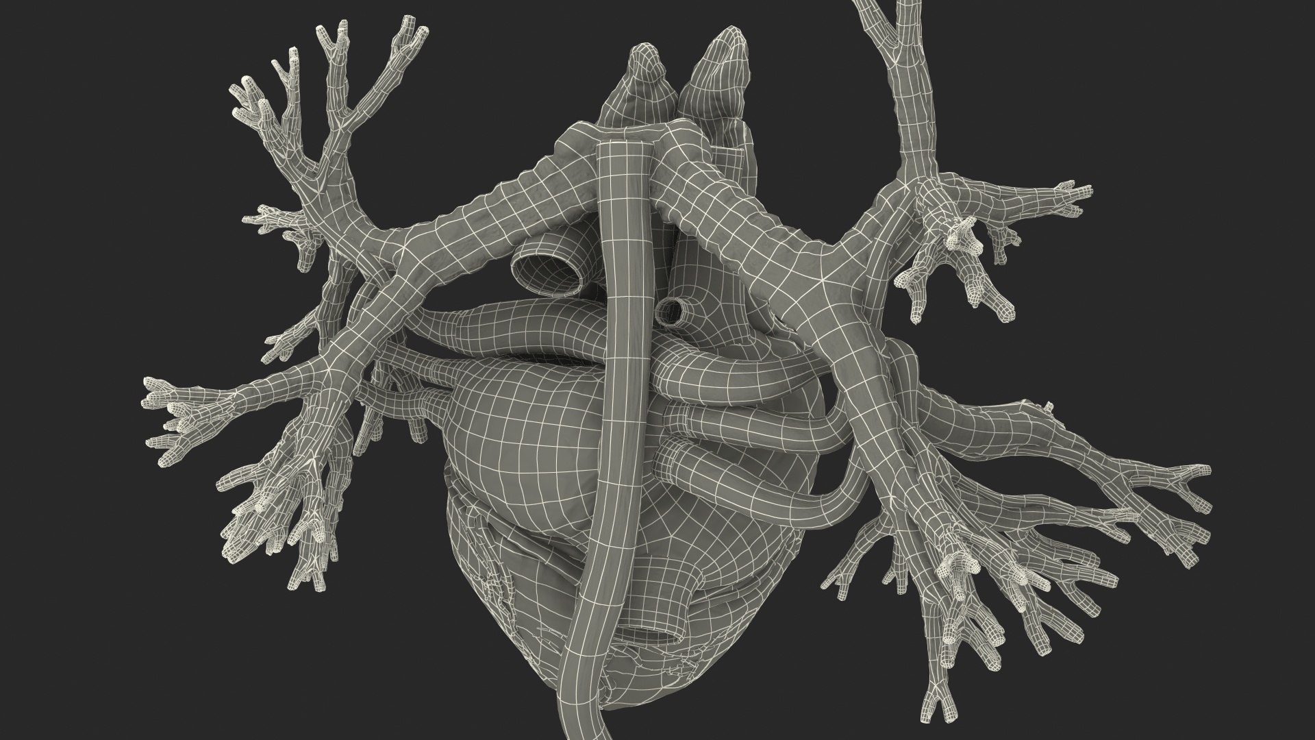 3D male internal organs https://p.turbosquid.com/ts-thumb/a4/VxRp09/j2TMzdn2/maleinternalorgans3dsmodel047/jpg/1572256973/1920x1080/fit_q87/226997d822d7e62d503ad491b4eefafdc0bef2c3/maleinternalorgans3dsmodel047.jpg