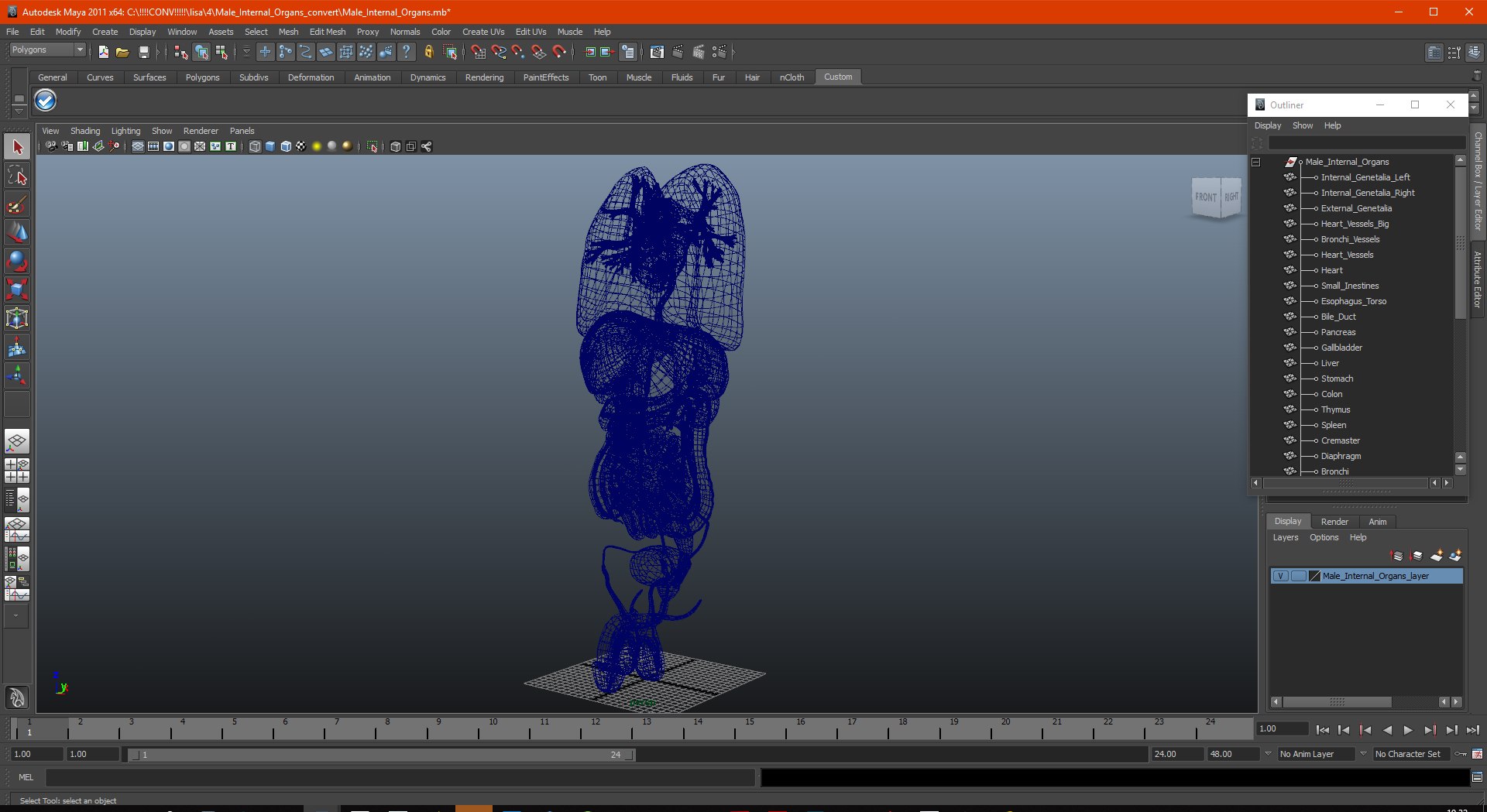3D male internal organs https://p.turbosquid.com/ts-thumb/a4/VxRp09/uUzbBd0N/maleinternalorgans3dsmodel040/jpg/1572256938/1920x1080/fit_q87/e016705ad48067728e50377a08975c577acfc67d/maleinternalorgans3dsmodel040.jpg