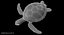 3D model green sea turtle animation