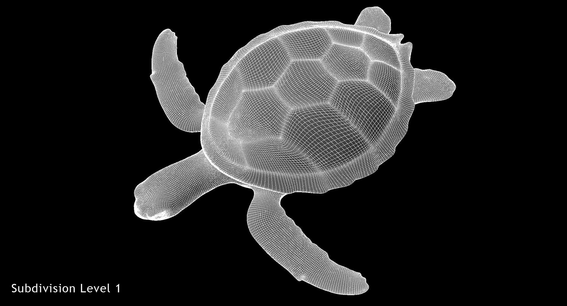 3D model green sea turtle animation https://p.turbosquid.com/ts-thumb/a4/bdcoIw/V8AYtoe8/w2/jpg/1558265436/1920x1080/fit_q87/d95cb991ecf9adbfd6a639092b8c79329ce8b9d9/w2.jpg