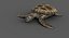 Green Sea Turtle (Animated)