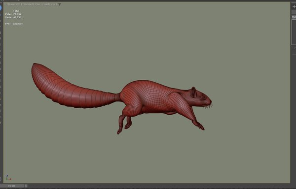 3D Low poly Squirrel Animated model - TurboSquid 2033795
