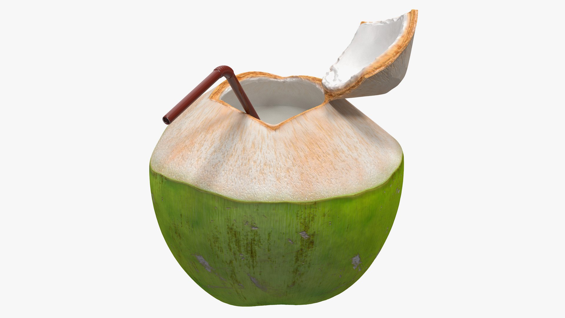 Coconuts Collection 3D model preview