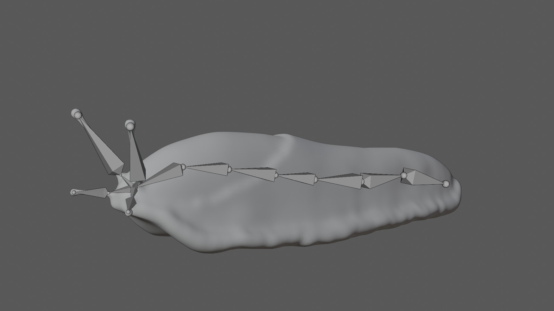 Fully Rigged Low Poly Slug Model - TurboSquid 1756365