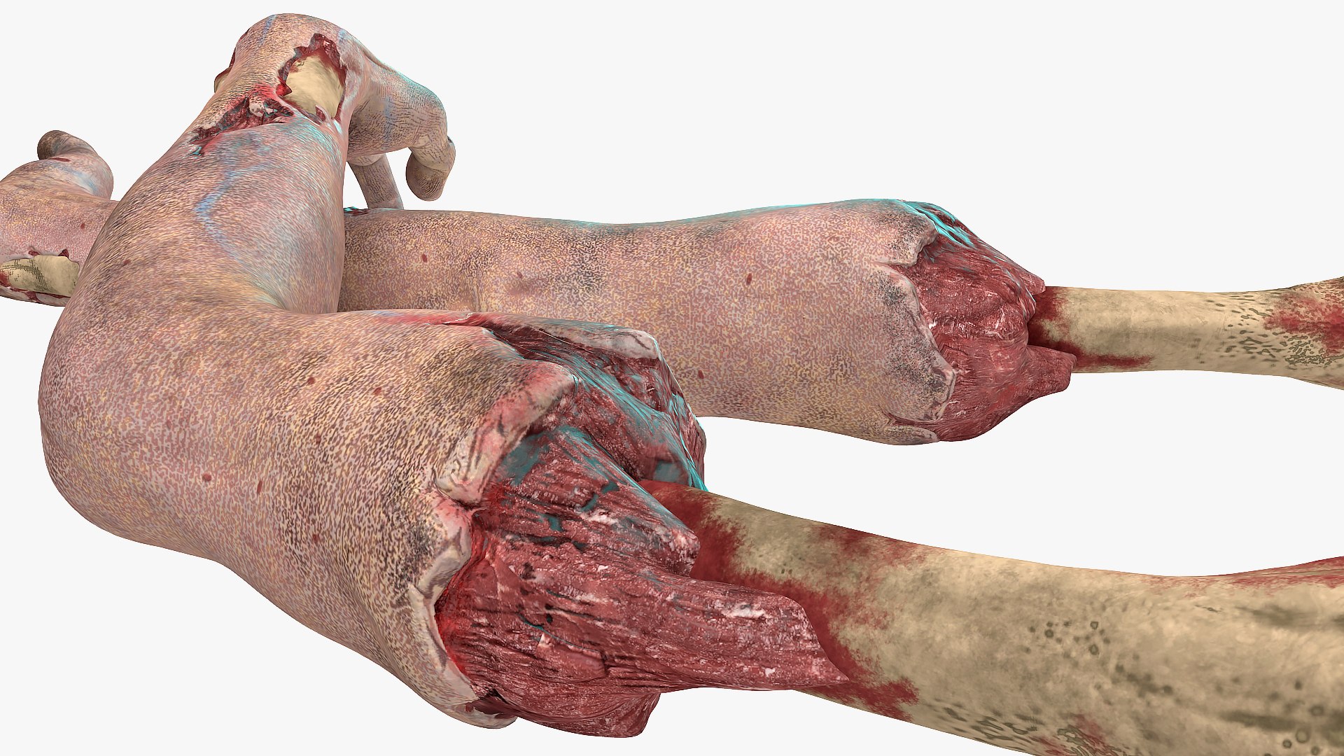 3D model scary zombie hands https://p.turbosquid.com/ts-thumb/a4/nGoGp6/AS958Ept/scaryzombiehands3dsmodel007/jpg/1567535549/1920x1080/fit_q87/23310f7223527c127fef095828bb74624af1db8b/scaryzombiehands3dsmodel007.jpg