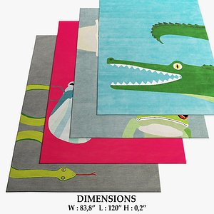 3D rug company 51 model