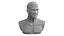 Ray Stevenson Basic Likeness Bust