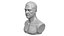 Ray Stevenson Basic Likeness Bust