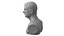Ray Stevenson Basic Likeness Bust