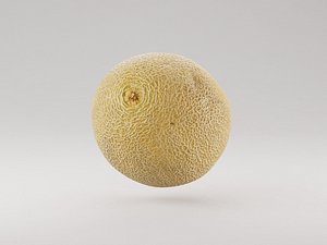3D Galia Melon Fruit 3d model model