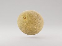 Galia Melon Fruit 3d model