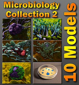 Microbiology Package 2 Fungi