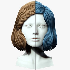 3D model Female Short Hair With Braid
