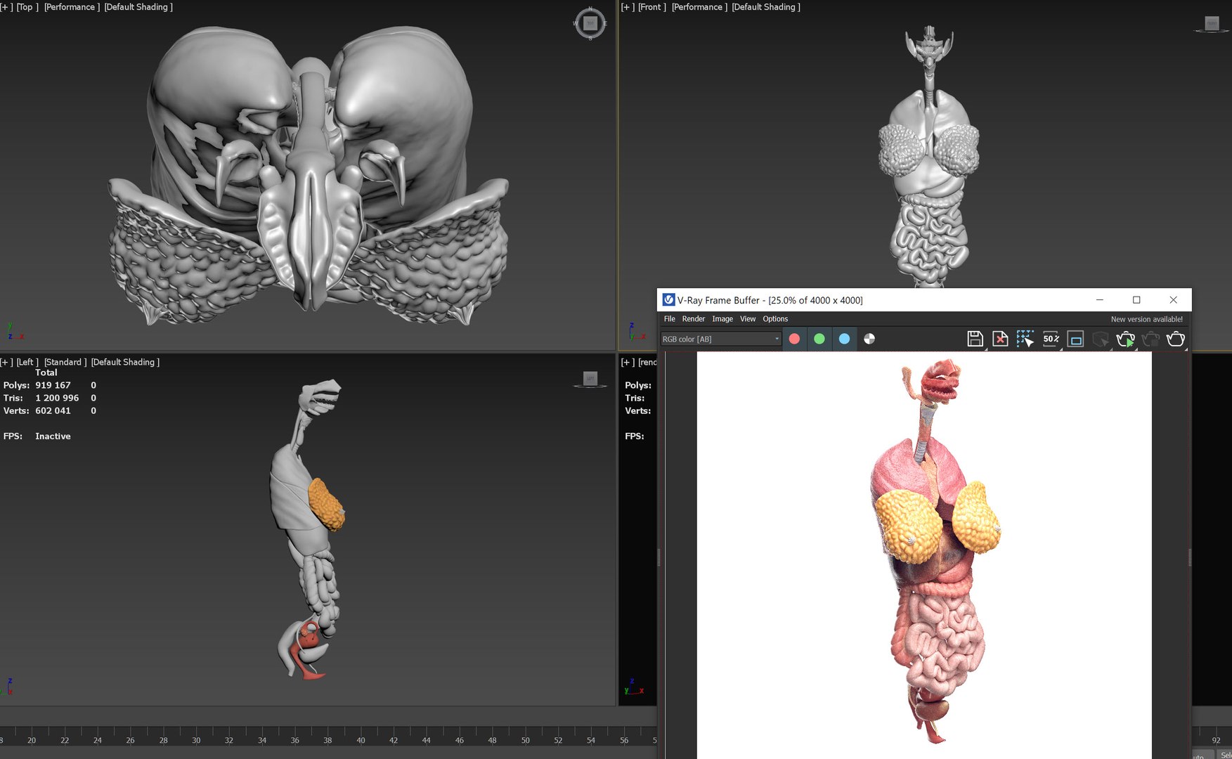 3D Human Female Organs Static model - TurboSquid 2059802