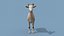 Top Goat 8K - 3D 애니메이션