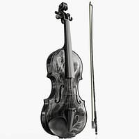 Violin black