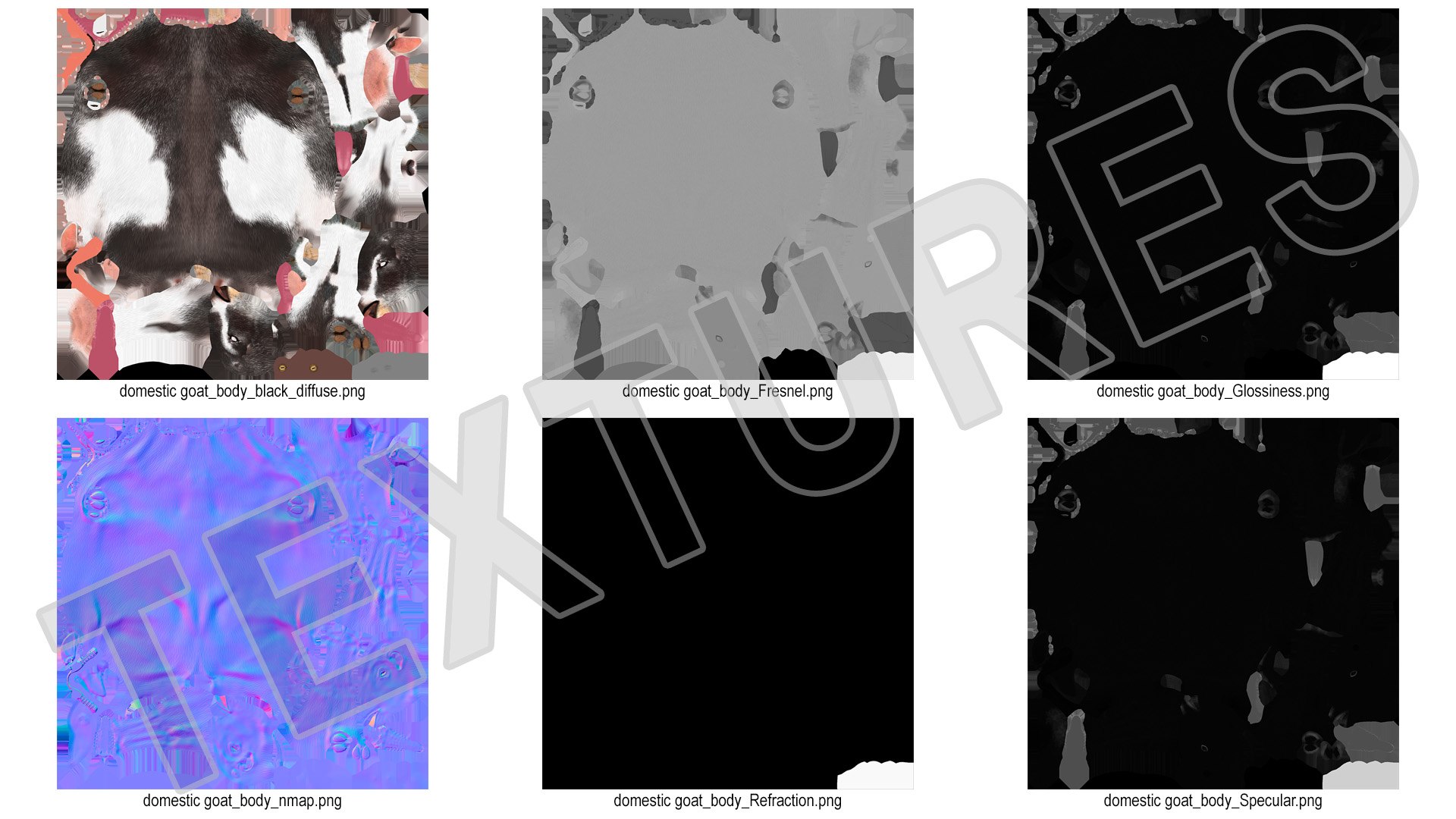 Domestic Goat Fur 3D https://p.turbosquid.com/ts-thumb/a5/m0WYc6/Kc/domesticgoatfurmb3dmodel018/jpg/1669331036/1920x1080/fit_q87/bc255855da6124308a79268fc6c98ad8511f39b1/domesticgoatfurmb3dmodel018.jpg