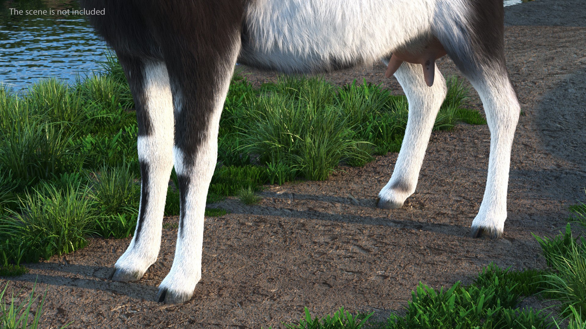 Domestic Goat Fur 3D https://p.turbosquid.com/ts-thumb/a5/m0WYc6/RF/domesticgoatfurmb3dmodel005/jpg/1669330997/1920x1080/fit_q87/57c6b1e520372fe150323fbb94c380d395558c2d/domesticgoatfurmb3dmodel005.jpg