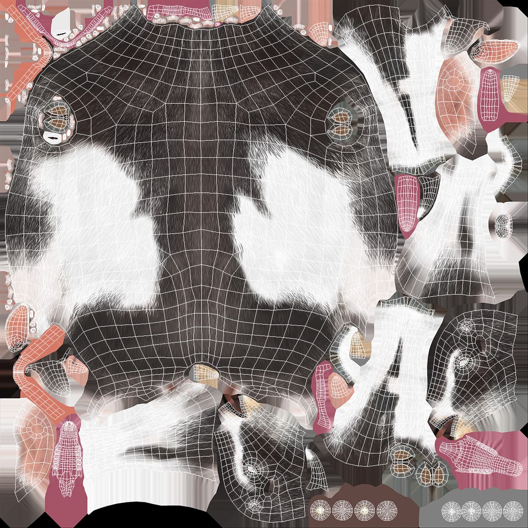 Domestic Goat Fur 3D https://p.turbosquid.com/ts-thumb/a5/m0WYc6/qS/domesticgoatfurmb3dmodel017/jpg/1669331033/1920x1080/fit_q87/f156a9efdb5f565e580a3cf012cbefdde5ad49c6/domesticgoatfurmb3dmodel017.jpg