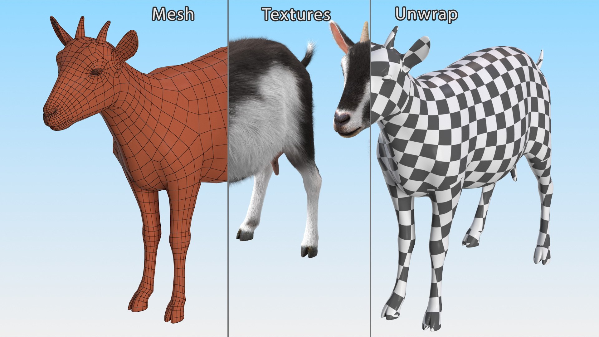 Domestic Goat Fur 3D https://p.turbosquid.com/ts-thumb/a5/m0WYc6/ud/domesticgoatfurmb3dmodel015/jpg/1669331027/1920x1080/fit_q87/c7cb8913524e30444837126b285de44bf0fe3499/domesticgoatfurmb3dmodel015.jpg