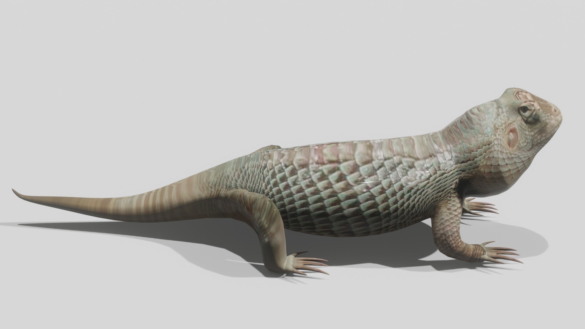 Bearded Dragon Lizard model https://p.turbosquid.com/ts-thumb/a5/qoDhTd/7F/4/jpg/1710376253/1920x1080/fit_q87/697d90e8139ca5b451b506312c6e10a6e3ae97d1/4.jpg