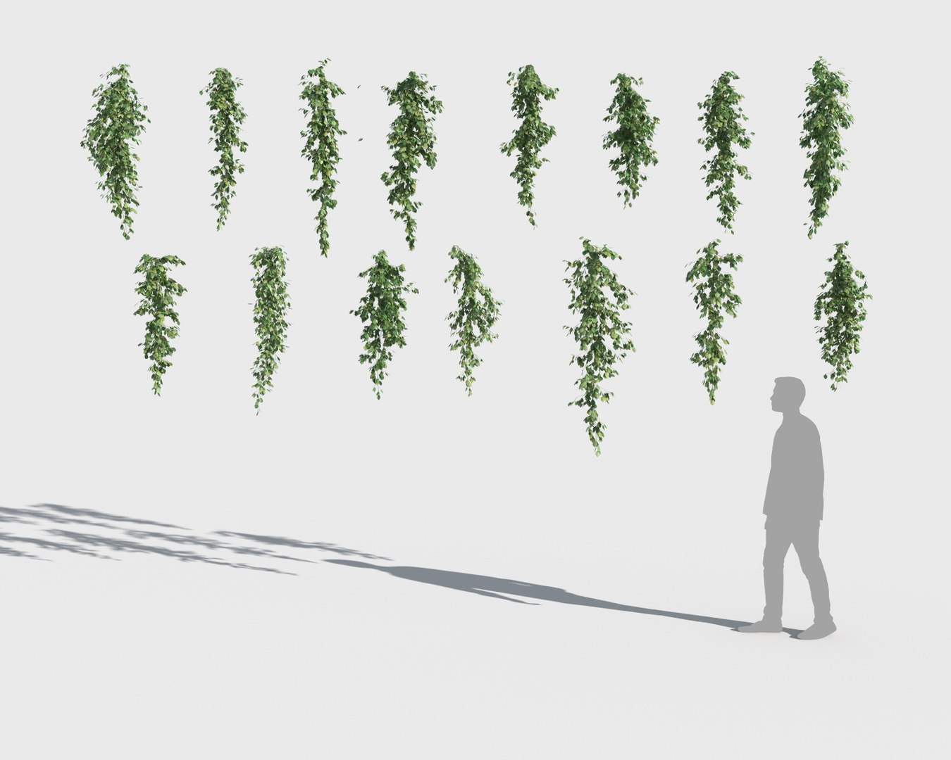 3D climbing plants https://p.turbosquid.com/ts-thumb/a5/r2BJQg/26c0cXLU/clplants7/jpg/1502265493/1920x1080/fit_q87/49261af8167d6eaac5060f77bff85f0c7875743f/clplants7.jpg