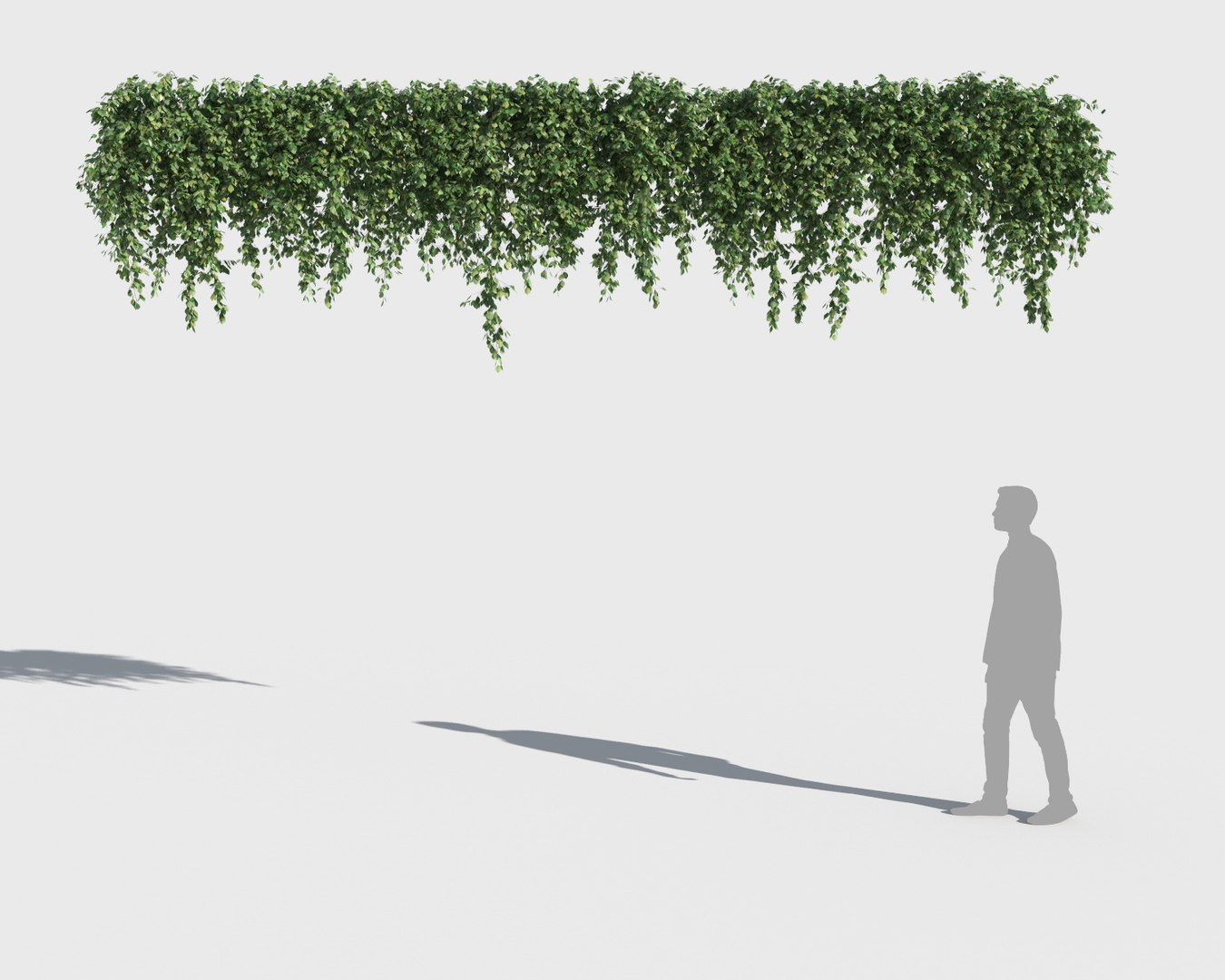 3D climbing plants https://p.turbosquid.com/ts-thumb/a5/r2BJQg/c1N7KTLb/clplants8/jpg/1502265493/1920x1080/fit_q87/494969ddd37f2cd2254c072a23d5a207f1185b8e/clplants8.jpg